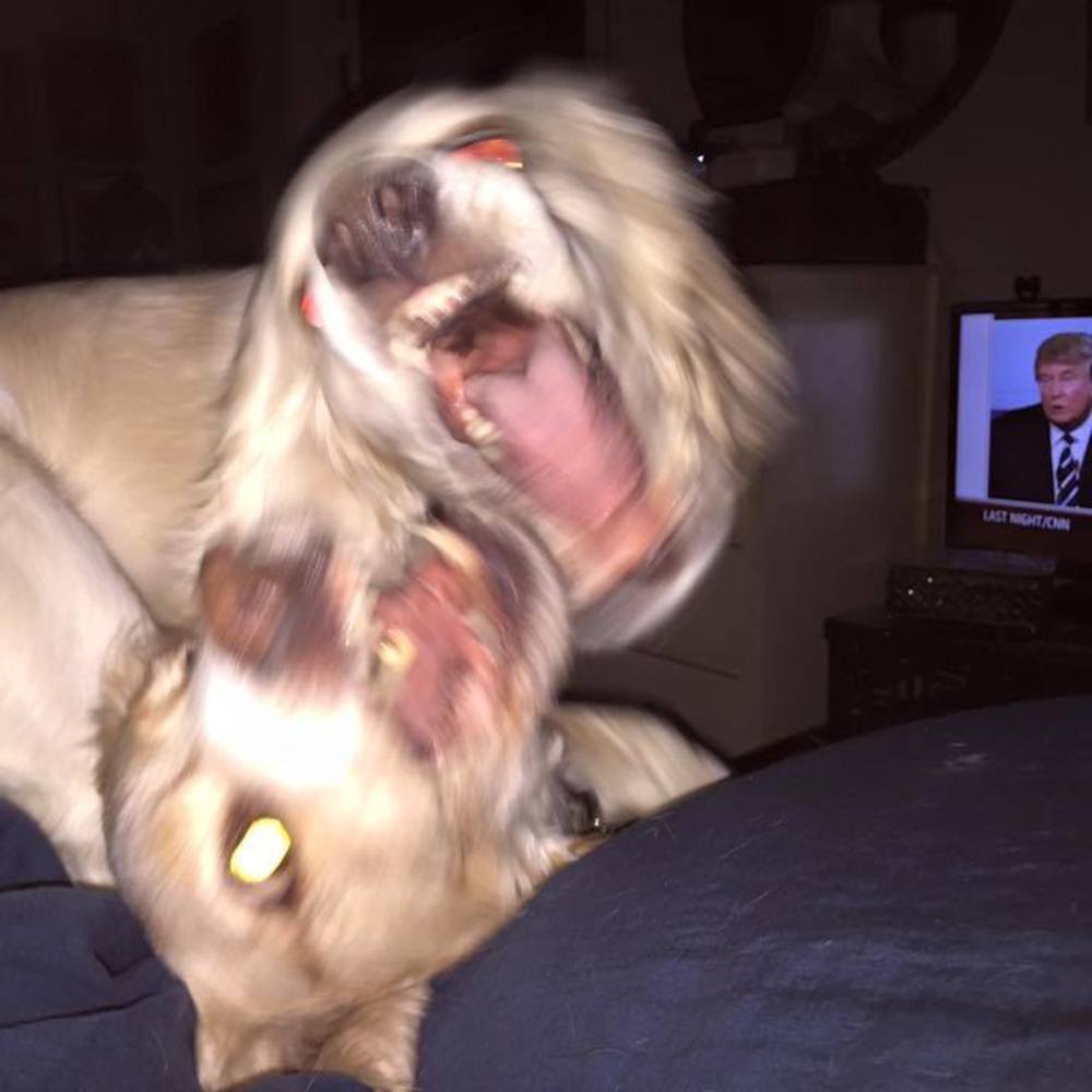 Meet your Posher, Angie